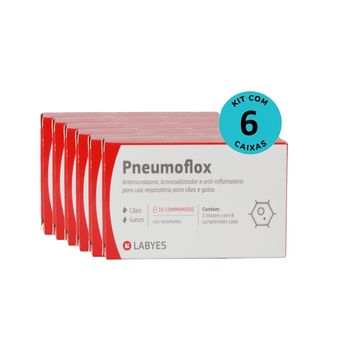 kit-6-pneumoflox_16_comprimidos_labyes_7798176420212-02