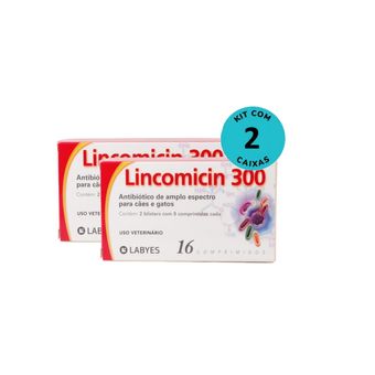 kit-2-lincomicin_300_c16_comp_7798176420144_02