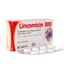 labyes_lincomicin_300_c16_comp_7798176420144_01