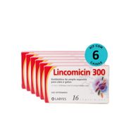 kit-6-lincomicin_300_c16_comp_7798176420144_02