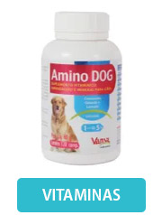 dog-vitaminas