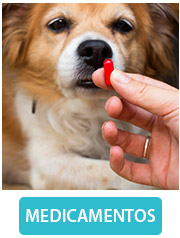cat-medicamentos