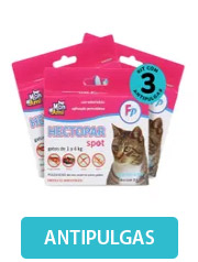 gato-antipulgas