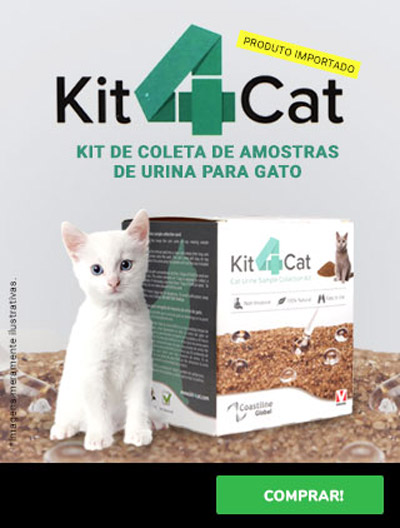 banner-kit4cat-mobile