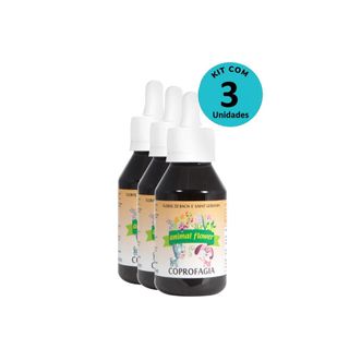 standard_resolution--4-