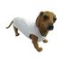Cachorro-Roupa-Pos-Cirurgica-Branca-Bishows