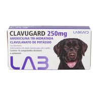 Kit-Clavugard-250mg-Antimicrobiano-Para-Caes-E-Gatos-Labgard--C--10-Comp.--C--5-unid.1