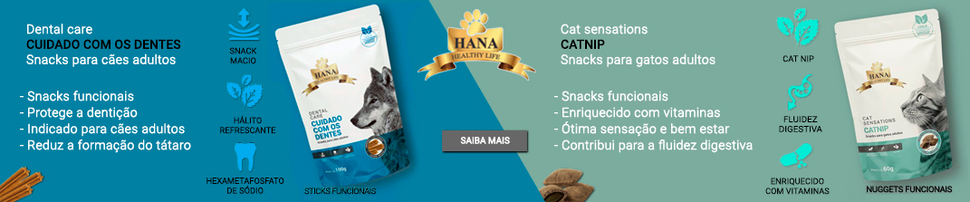 banner - melhores snacks