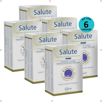 Kit-6-Suplemento-Salute-com-10-saches Kit-6-Suplemento-Salute-com-10-saches