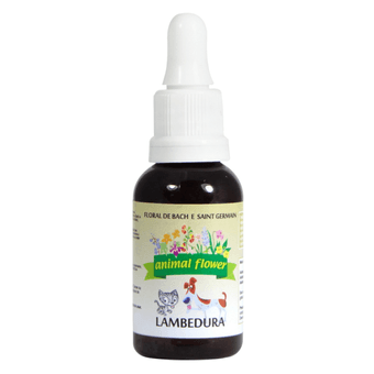 Floral-Lambedura-30ml-Gotas-7898929081452-1 Floral-Lambedura-30ml-Gotas-7898929081452-1