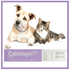 Calmisyn-30g-7898153931226-10 Calmisyn-30g-7898153931226-10
