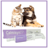 Calmisyn-30g-7898153931226-9 Calmisyn-30g-7898153931226-9