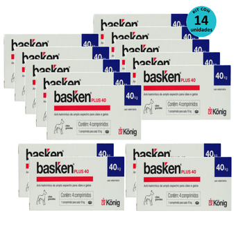 Kit-14-Basken-Plus-40-com-4-comprimidos