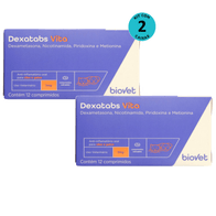 Kit-2-Dexatabs-Vita-para-Caes-e-Gatos-1mg-com-12-comprimidos---Biovet