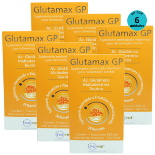 Kit-6-Glutamax-GP-Suplemento-Para-Animais-250ml