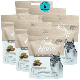 Kit-6-Hana-Healthy-Life-Suporte-Renal-65g-Para-Caes-Adultos