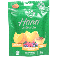 Hana-Natural-Life-Abobora-Frutas-Vermelhas-Linhaca-80g-Para-Caes-Adultos-7898959982385-1