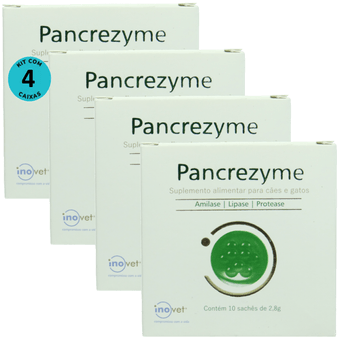Kit-4-Pancrezyme-Com-10-Sache-de-28g Kit-4-Pancrezyme-Com-10-Sache-de-28g