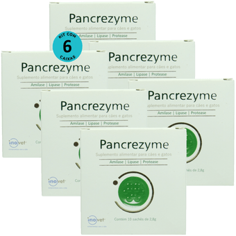 Kit-6-Pancrezyme-Com-10-Sache-de-28g Kit-6-Pancrezyme-Com-10-Sache-de-28g