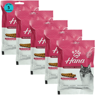 Kit-5-Snacks-Hana-Healthy-Life-Articulare-100g-Caes