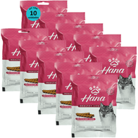 Kit-10-Snacks-Hana-Healthy-Life-Articulare-100g-Caes
