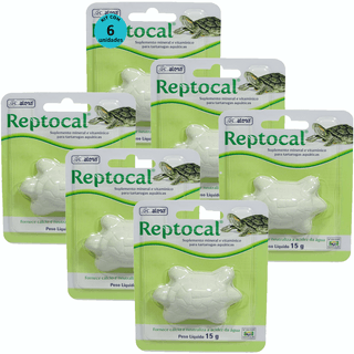 Kit-6-Reptocal-15g