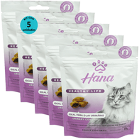 Kit-5-Snacks-Hana-Healthy-Life-Urinary-Control-Gatos-Adultos-60g