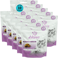 Kit-10-Snacks-Hana-Healthy-Life-Urinary-Control-Gatos-Adultos-60g