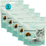 Kit-5-Snacks-Hana-Healthy-Life-Cat-sensations-Gatos-Adultos-60g