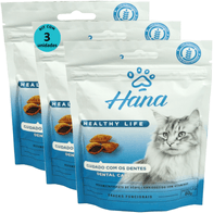 Kit-3-Snacks-Hana-Healthy-Life-Dental-Care-Gatos-Adultos-60g