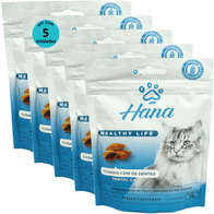 Kit-5-Snacks-Hana-Healthy-Life-Dental-Care-Gatos-Adultos-60g