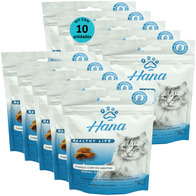 Kit-10-Snacks-Hana-Healthy-Life-Dental-Care-Gatos-Adultos-60g