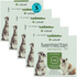 Kit-5-Ivermectan-Pet-6mg-com-4-comprimidos