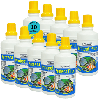 Kit-10-Alcon-Labcon-Protect-Plus-100ml Kit-10-Alcon-Labcon-Protect-Plus-100ml