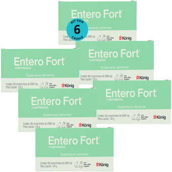 Kit-6-Entero-Fort-2000mg-Com-60-comprimidos Kit-6-Entero-Fort-2000mg-Com-60-comprimidos