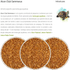 Gammarus-11g-7896108812750-3