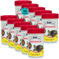 Kit-10-Gammarus-11g