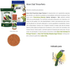 Alcon-Club-Trinca-Ferro-500g-Super-Premium-7896108809019-4