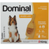 Dominal-Pipeta-Caes-251-a-40kg-Laranja-7791432890453-1