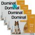 DOMINAL-PIPETA-PARA-CAES-251-A-40KG-4ML-LARANJA-KIT-COM-4-PREVENCAO-PULGAS-E-CARRAPATOS1
