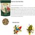 ALCON-ECO-CLUB-PSITA-STICKS-450G-KIT-COM-20-PARA-PAPAGAIOS-E-ARARAS5