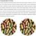 ALCON-ECO-CLUB-PSITA-STICKS-450G-KIT-COM-20-PARA-PAPAGAIOS-E-ARARAS8