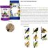 ALCON-CLUB-FARINHADA-SILVESTRES-250G-SUPER-PREMIUM-KIT-COM-3-PARA-AZULAO-BICUDO-COLEIRO-CABOCLINHO-CURIO-PASSARO-PRETO-SABIA-TRINCA-FERRO5