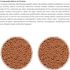 ALCON-ECO-CLUB-TRINCA-FERRO-E-OUTROS-PASSAROS-FRUGIVOROS-300G-KIT-COM-28