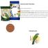 ALCON-ECO-CLUB-TRINCA-FERRO-E-OUTROS-PASSAROS-FRUGIVOROS-300G-KIT-COM-65 ALCON-ECO-CLUB-TRINCA-FERRO-E-OUTROS-PASSAROS-FRUGIVOROS-300G-KIT-COM-65