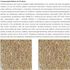 ALCON-CLUB-FARINHADA-PSITACIDEOS-250G-SUPER-PREMIUM-KIT-COM-107