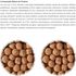 ALCON-ECO-CLUB-TUCANOS-E-ARACARIS-450G-KIT-COM-4-RACAO-PARA-AVES8