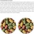 ALCON-ECO-CLUB-PSITA-BITS-450G-KIT-COM-2-RACAO-PARA-AVES8