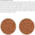 Alcon-Eco-Trinca-Ferro-300g-7896108815386-7