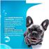 BANHO-A-SECO-BUBBLE-DRY-SPRAY-200ML-PARA-CAES6